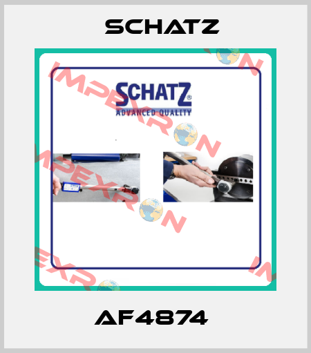 AF4874  Schatz