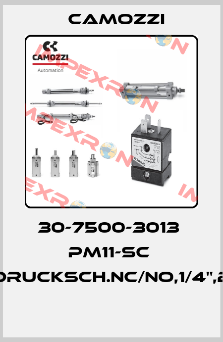 30-7500-3013  PM11-SC  DRUCKSCH.NC/NO,1/4",2  Camozzi