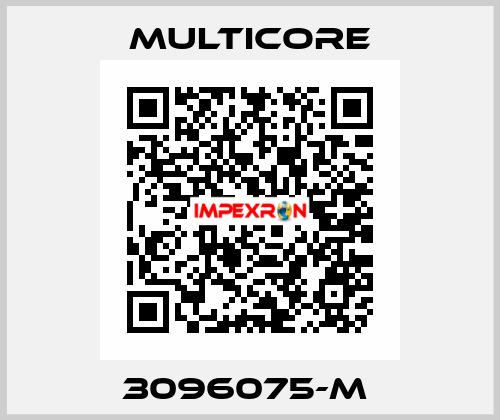 3096075-M  Multicore