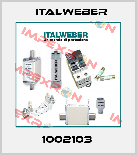 1002103  Italweber
