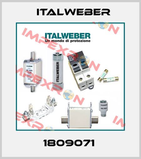 1809071  Italweber