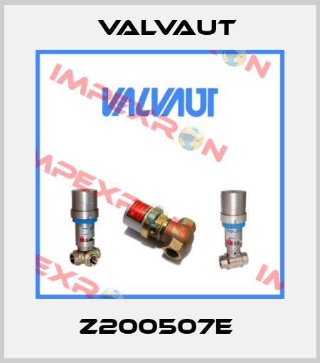 Z200507E  Valvaut