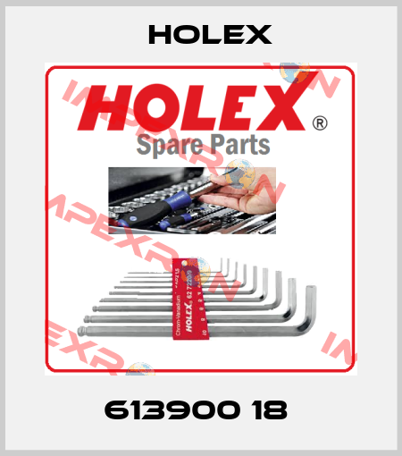 613900 18  Holex