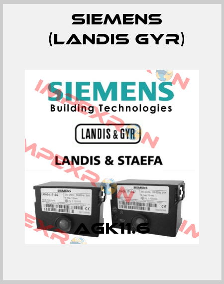 AGK11.6 Siemens (Landis Gyr)
