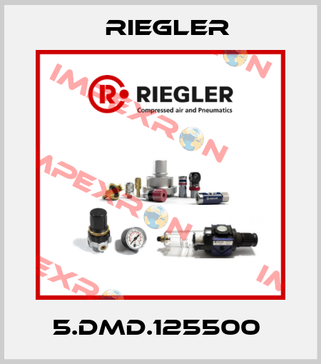 5.DMD.125500  Riegler