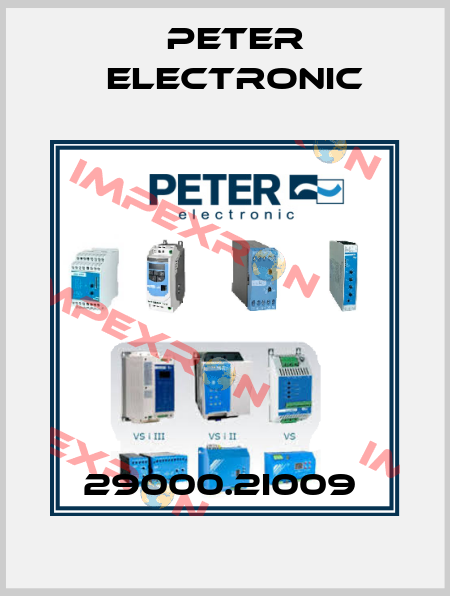 29000.2I009  Peter Electronic