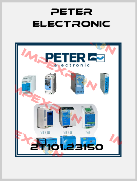 2T101.23150  Peter Electronic