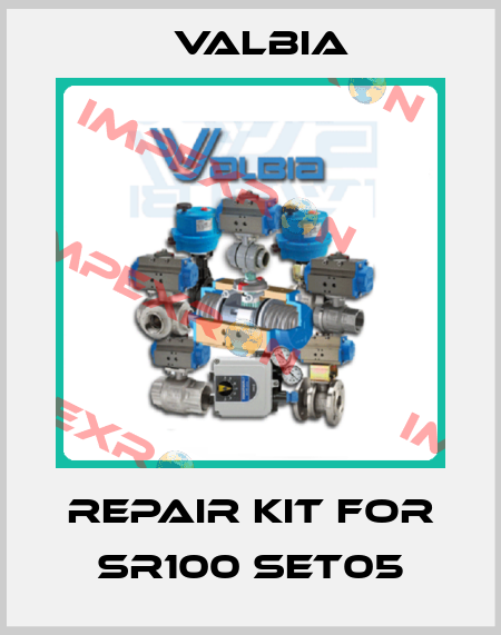 Repair kit for SR100 SET05 Valbia