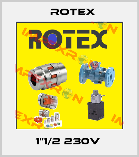 1"1/2 230V  Rotex