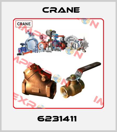 6231411  Crane