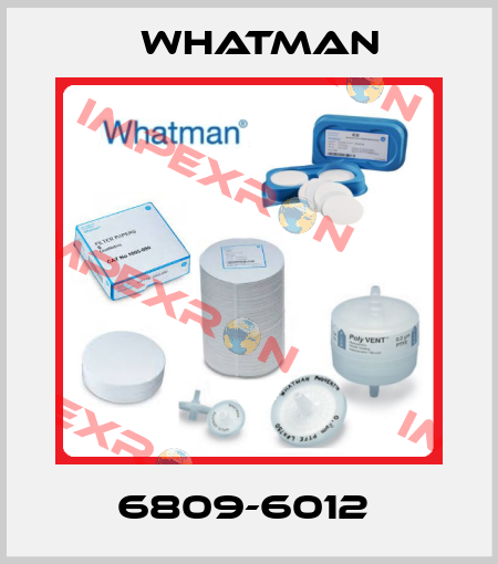 6809-6012  Whatman