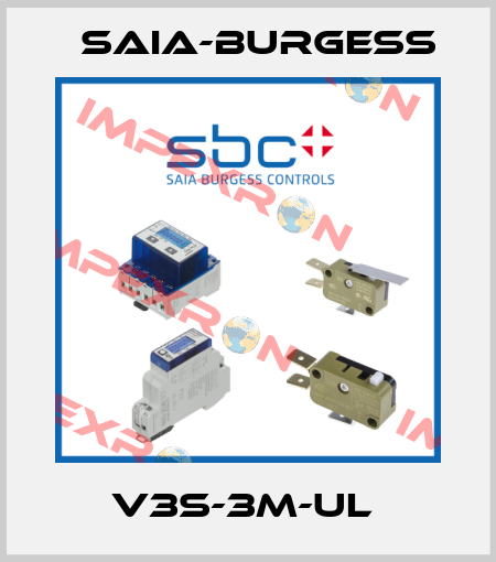 V3S-3m-UL  Saia-Burgess