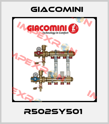 R502SY501  Giacomini