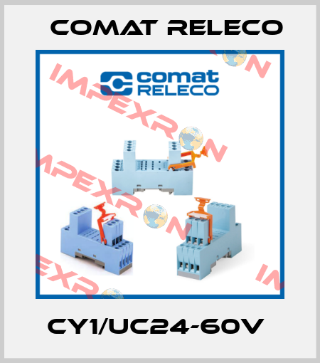 CY1/UC24-60V  Comat Releco