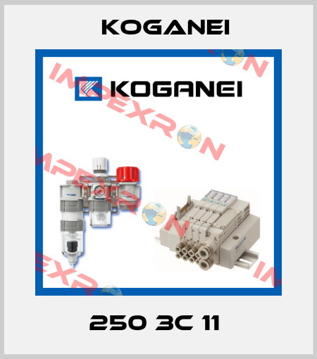 250 3C 11  Koganei