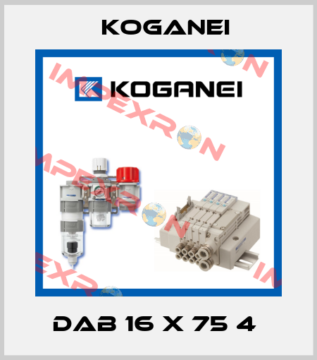 DAB 16 X 75 4  Koganei