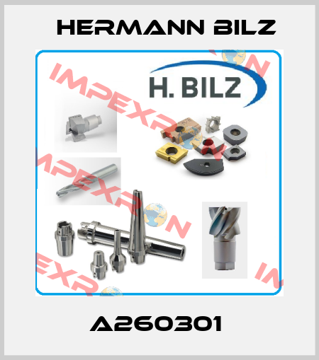 A260301  Hermann Bilz