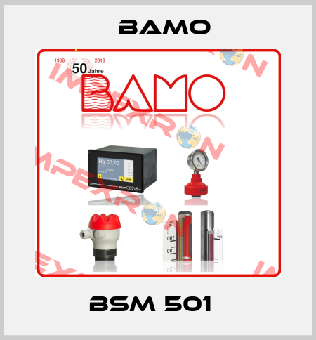 BSM 501   Bamo