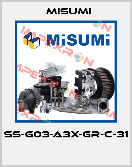 SS-G03-A3X-GR-C-31  Misumi