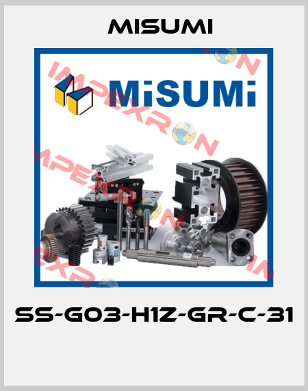 SS-G03-H1Z-GR-C-31  Misumi