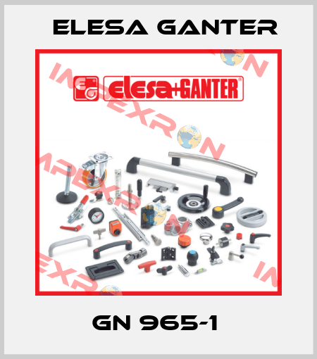 GN 965-1  Elesa Ganter