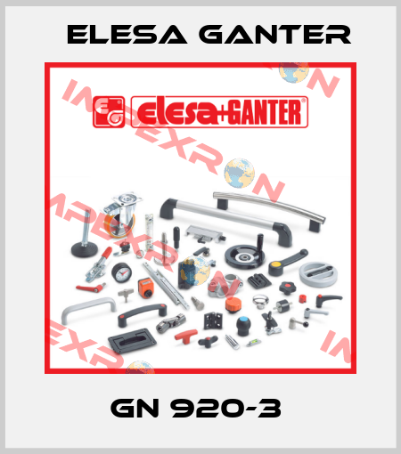 GN 920-3  Elesa Ganter