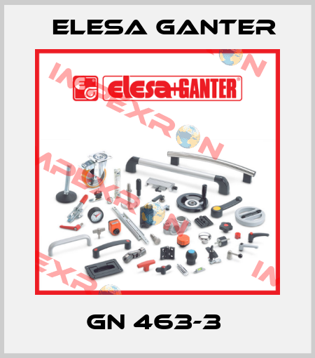 GN 463-3  Elesa Ganter