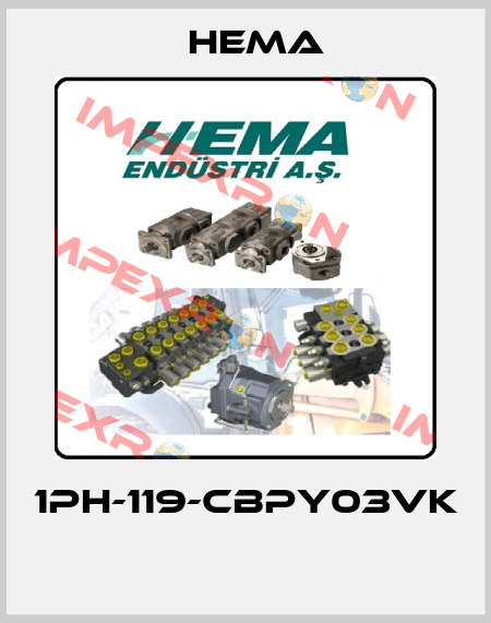 1PH-119-CBPY03VK  Hema