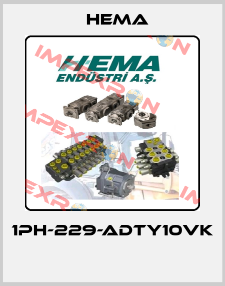 1PH-229-ADTY10VK  Hema