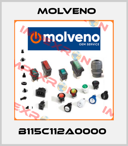 B115C112A0000  Molveno