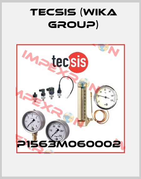 P1563M060002  Tecsis (WIKA Group)