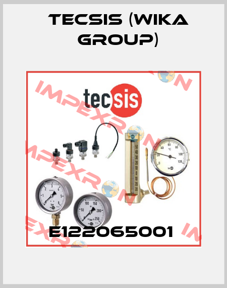 E122065001  Tecsis (WIKA Group)