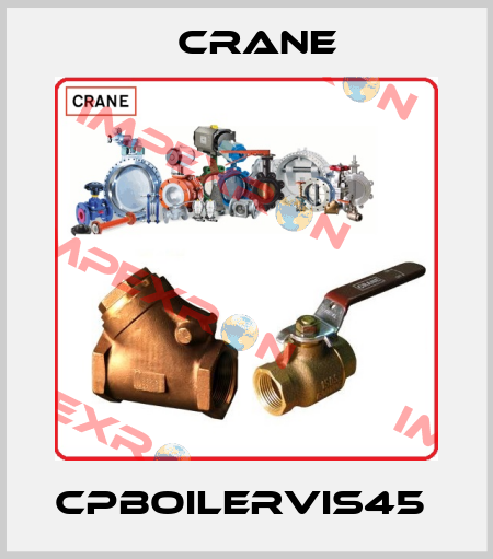 CPBOILERVIS45  Crane