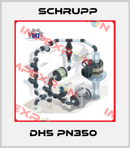 DH5 PN350  Schrupp