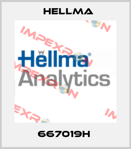 667019H  Hellma