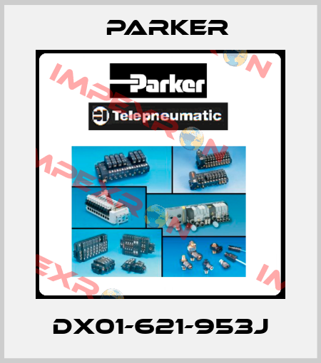 DX01-621-953J Parker