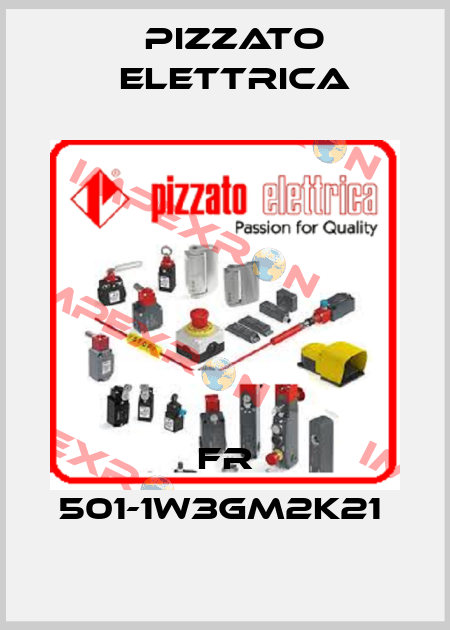 FR 501-1W3GM2K21  Pizzato Elettrica