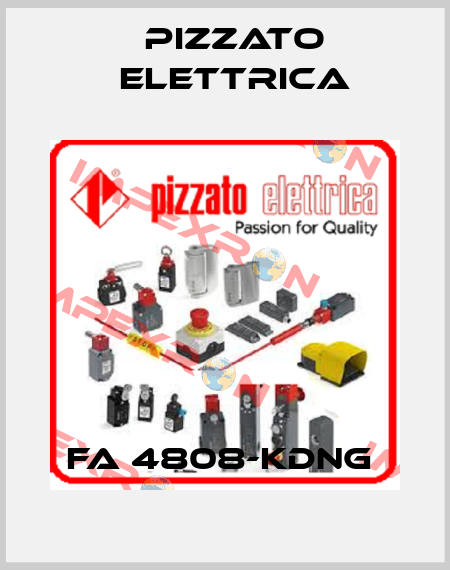 FA 4808-KDNG  Pizzato Elettrica