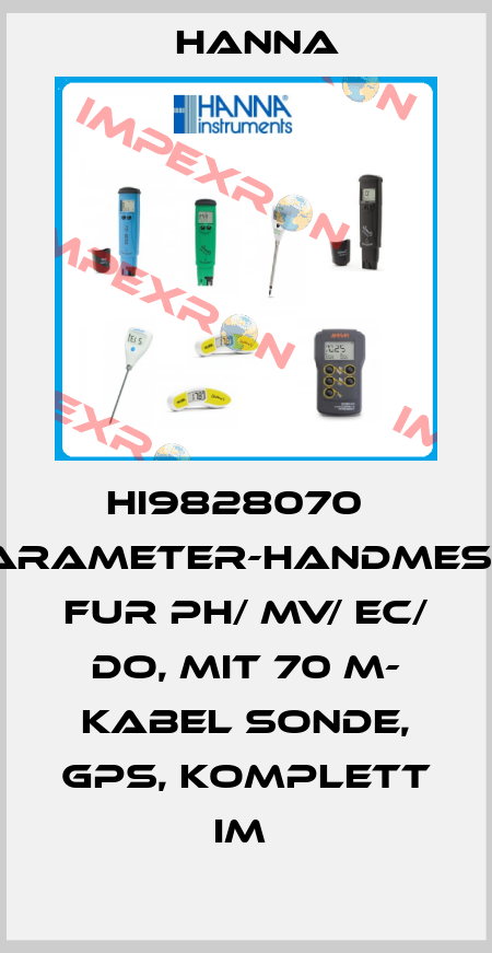 HI9828070   MULTIPARAMETER-HANDMESSGERÄT FUR PH/ MV/ EC/ DO, MIT 70 M- KABEL SONDE, GPS, KOMPLETT IM  Hanna