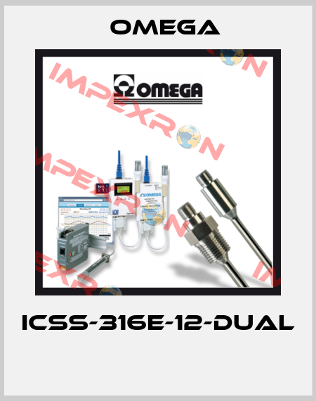 ICSS-316E-12-DUAL  Omega