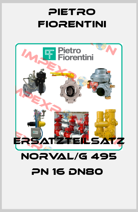 Ersatzteilsatz Norval/G 495 PN 16 DN80  Pietro Fiorentini