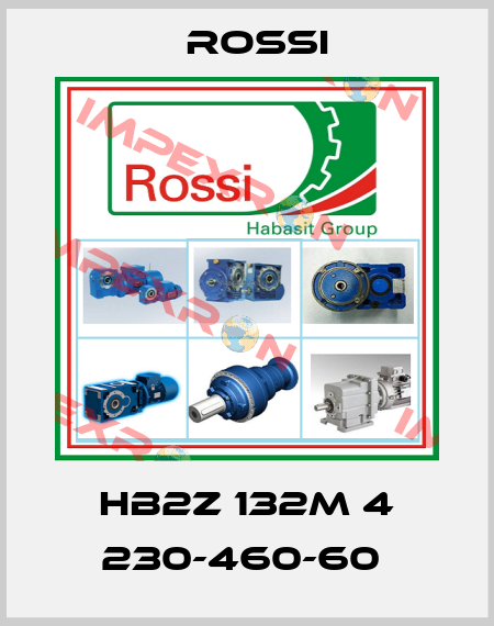 HB2Z 132M 4 230-460-60  Rossi