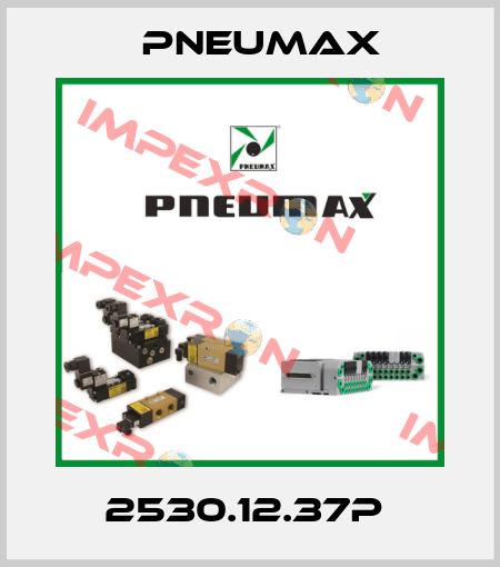 2530.12.37P  Pneumax