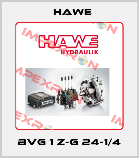 BVG 1 Z-G 24-1/4 Hawe