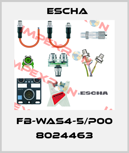 FB-WAS4-5/P00 8024463 Escha