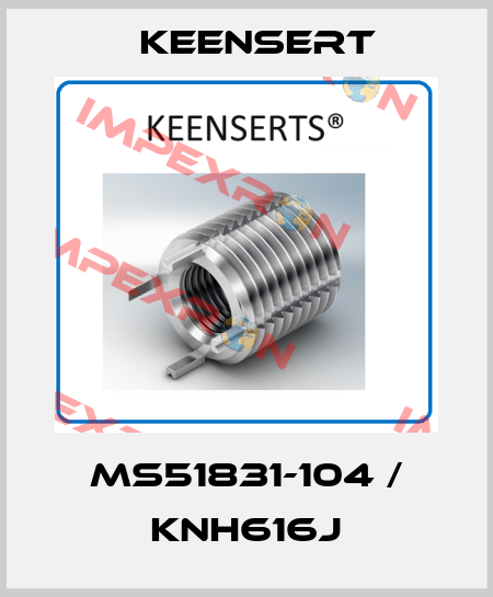 MS51831-104 / KNH616J Keensert