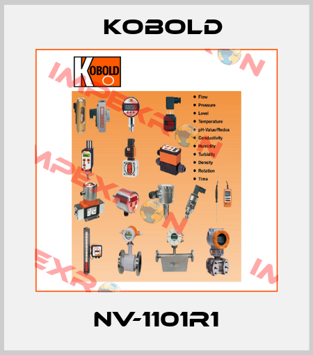 NV-1101R1 Kobold