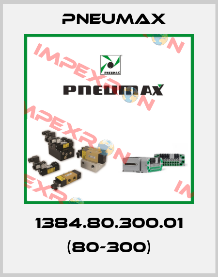 1384.80.300.01 (80-300) Pneumax