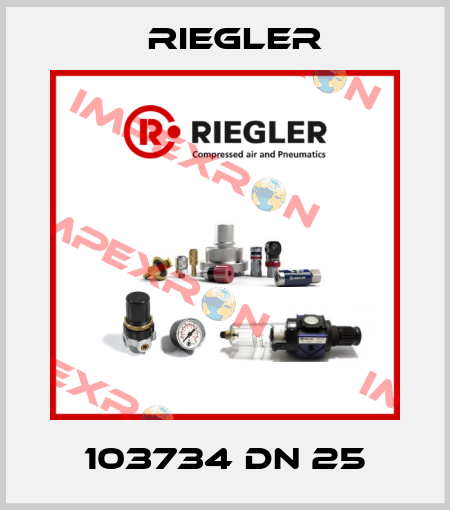 103734 DN 25 Riegler