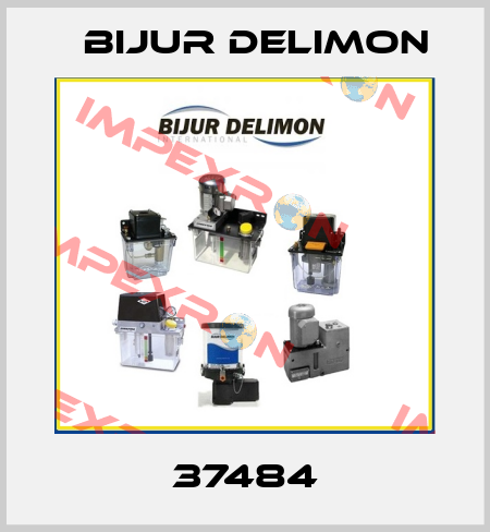37484 Bijur Delimon